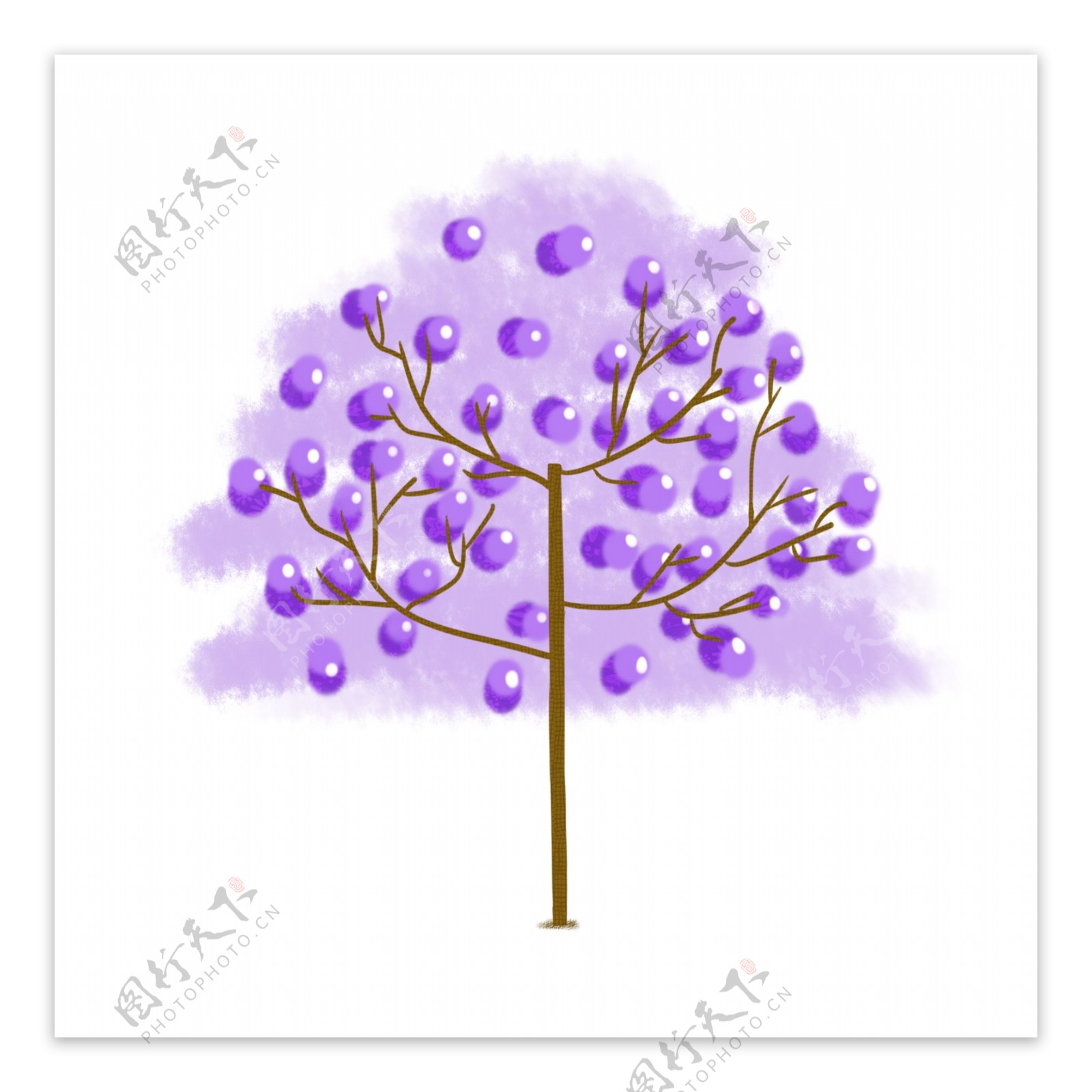紫色水果树木插图