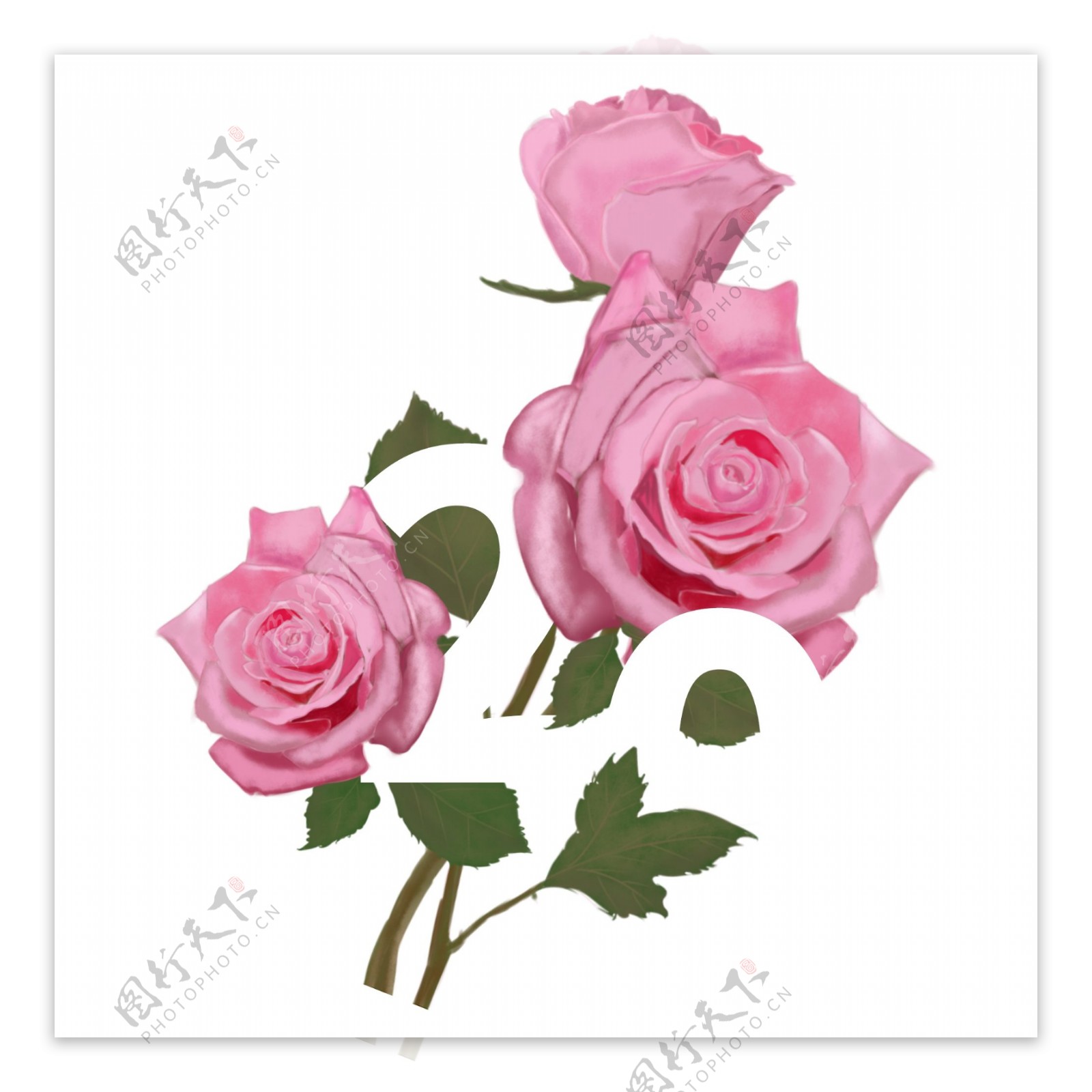 商用手绘浪漫粉色玫瑰520花与字母艺术字