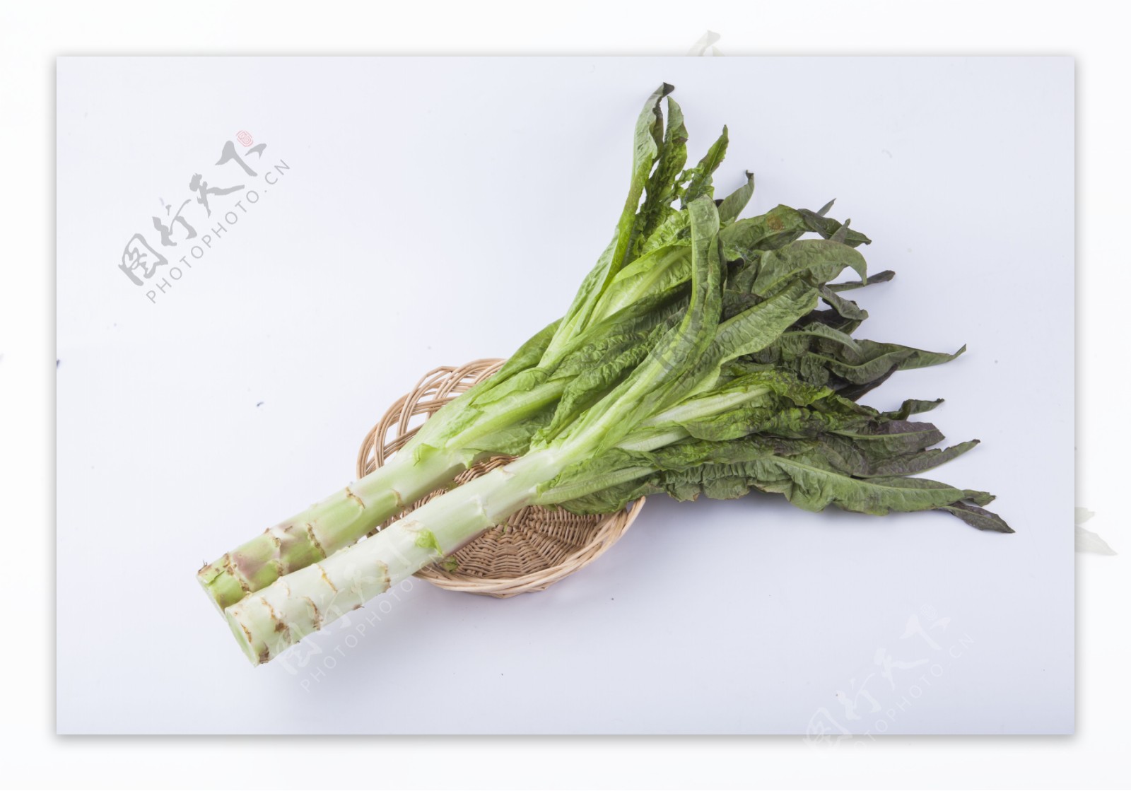 新鲜蔬菜莴苣实物图摄影图