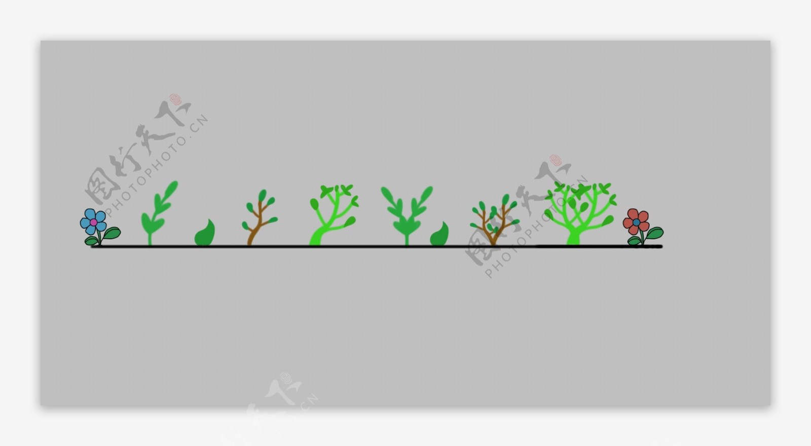 植物小花分割线插画