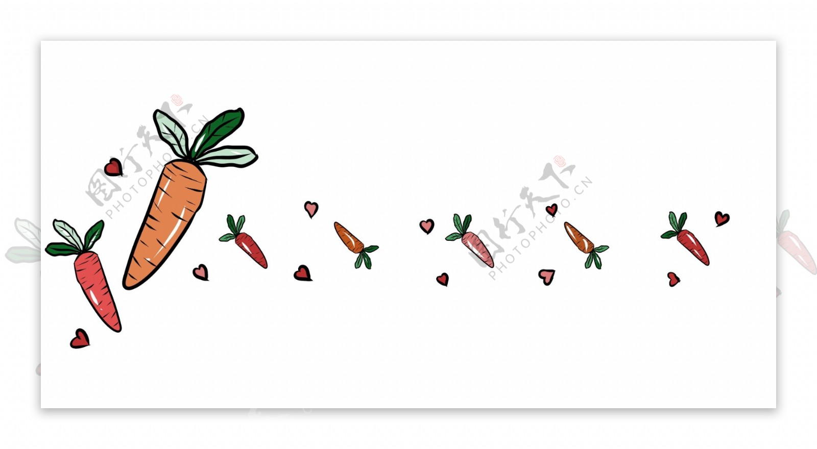 胡萝卜分割线插画