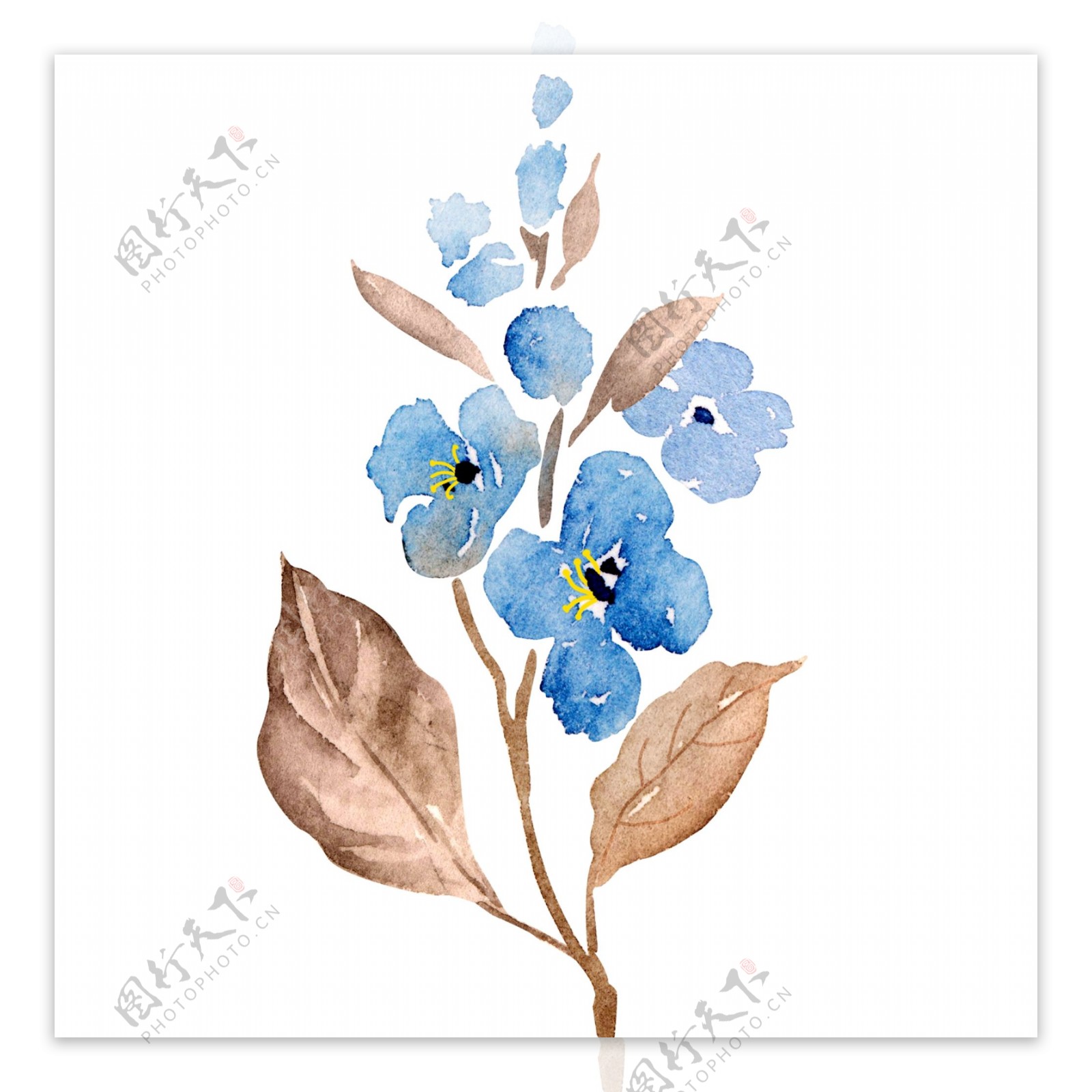 小清新水彩手绘蓝色花卉植物元素