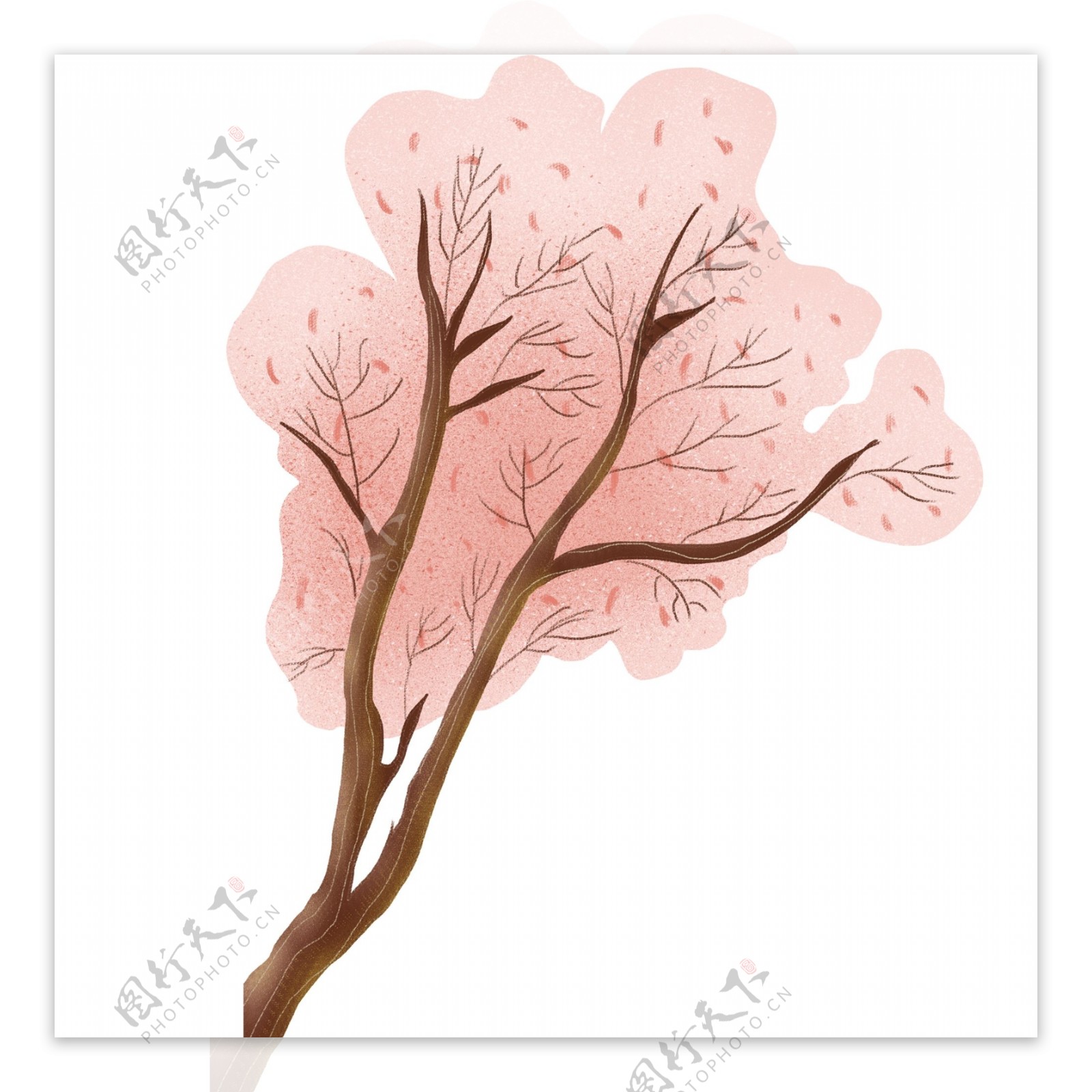 精美粉色植物树木