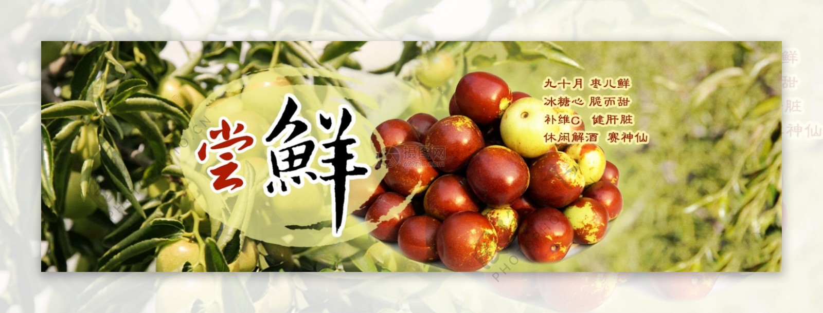 冬枣秋季尝鲜淘宝banner