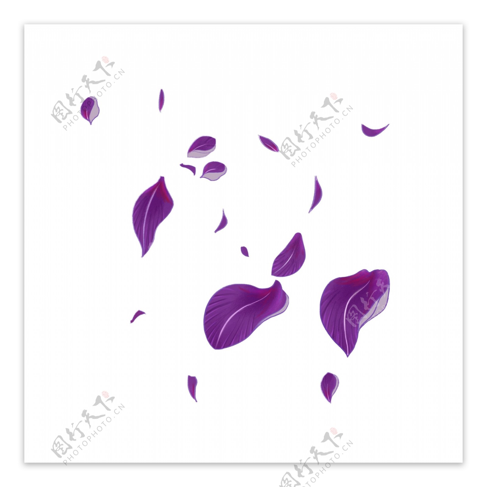 紫色唯美漂浮花瓣