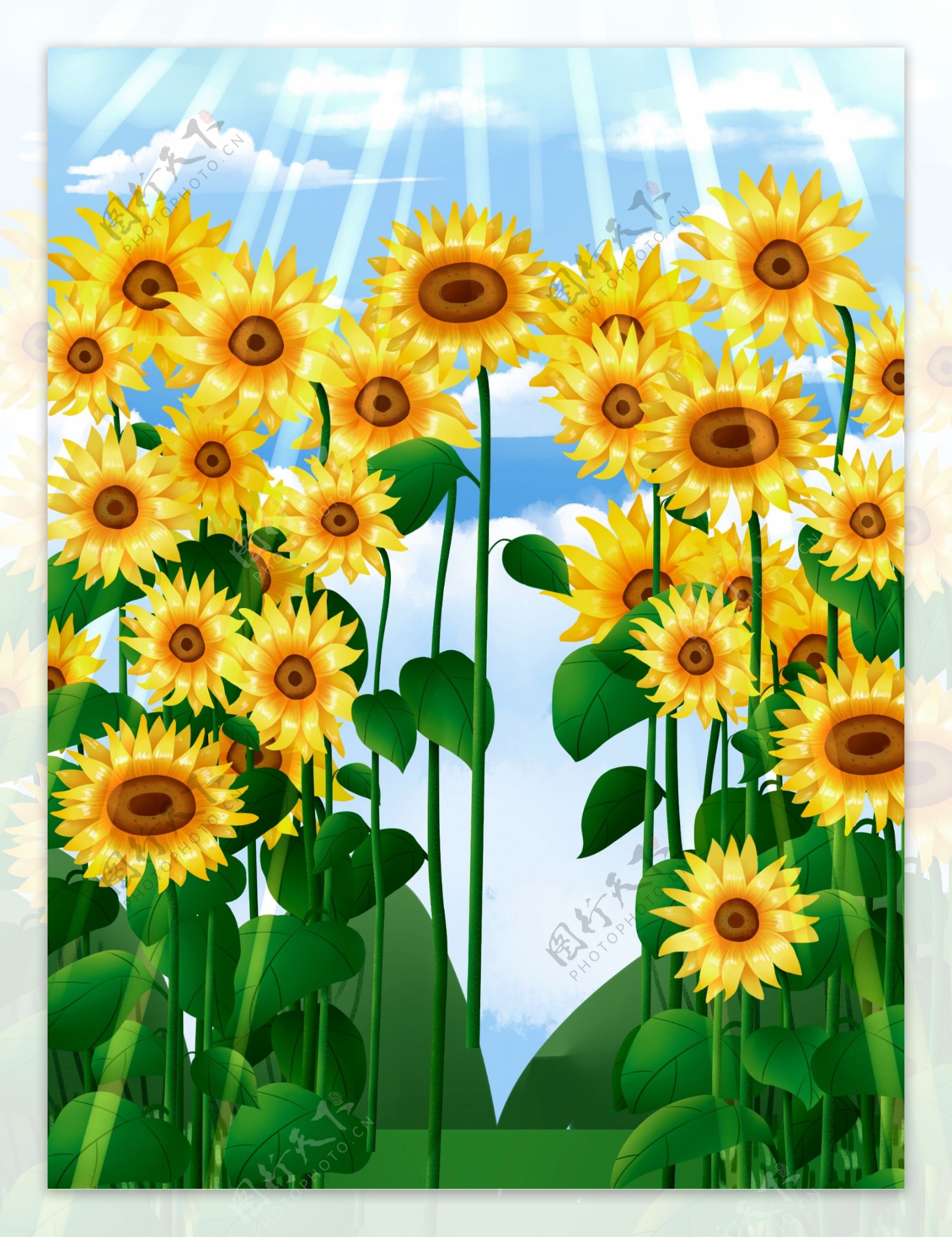 手绘初夏向日葵背景设计