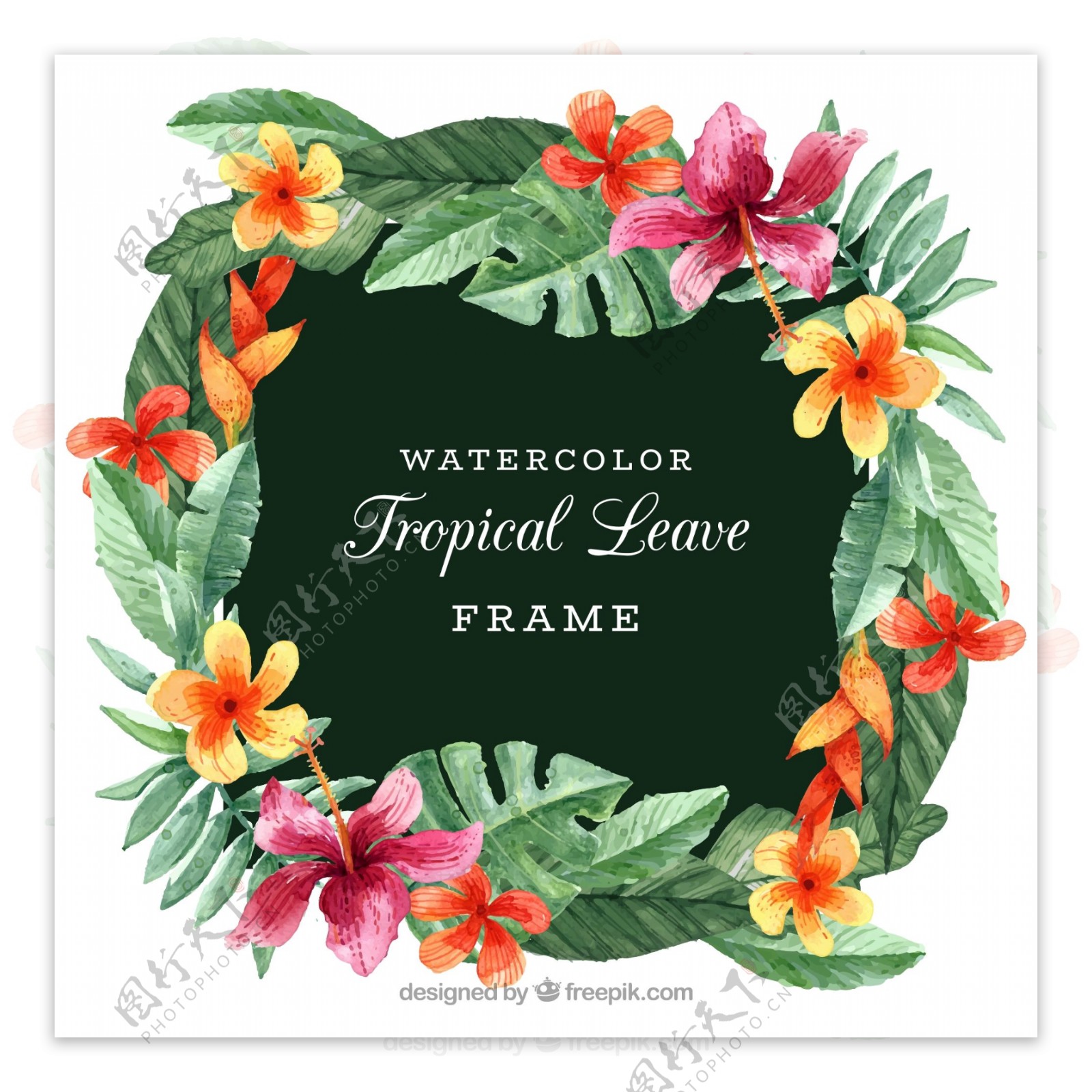 水彩绘热带花卉树叶框架