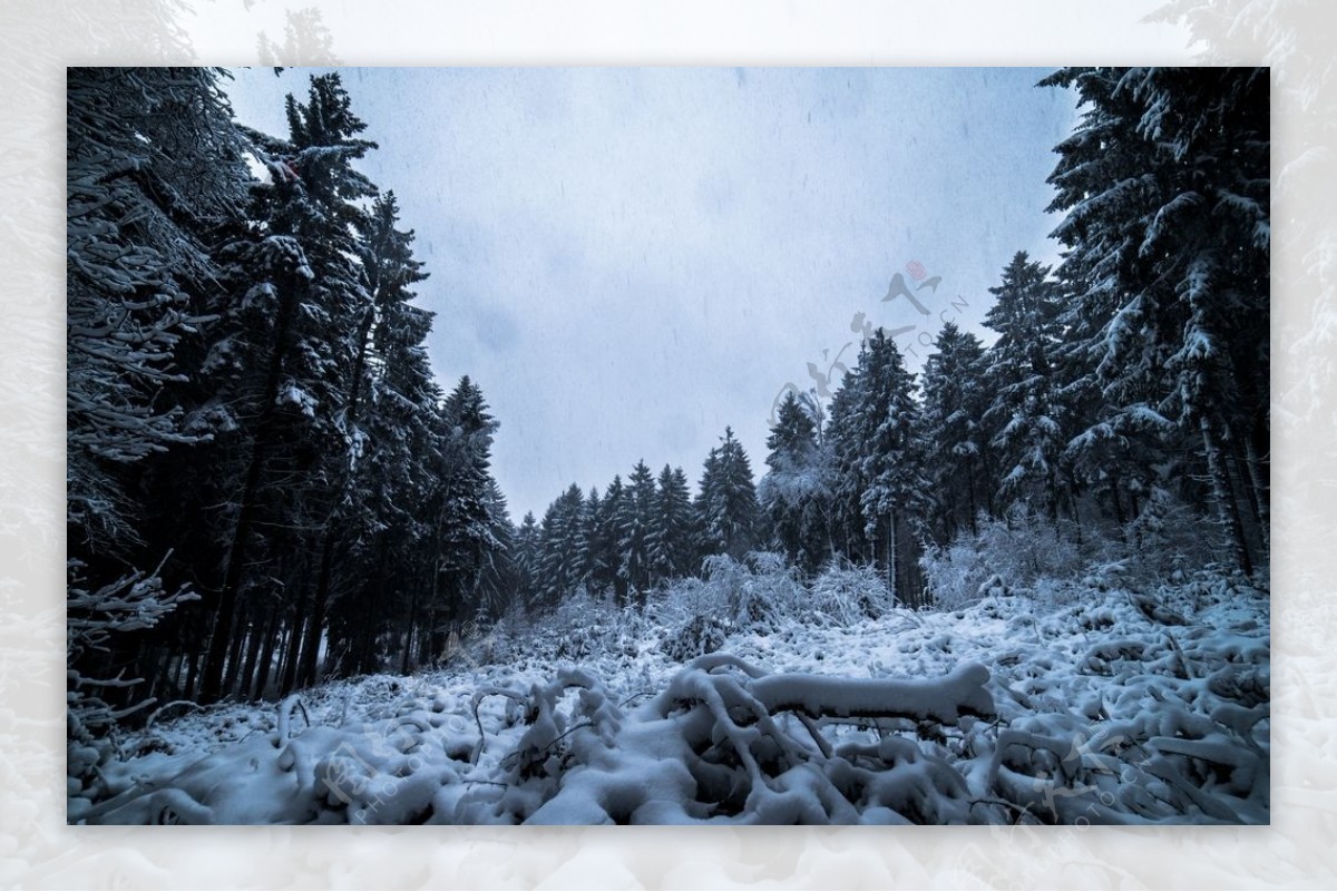 雪景