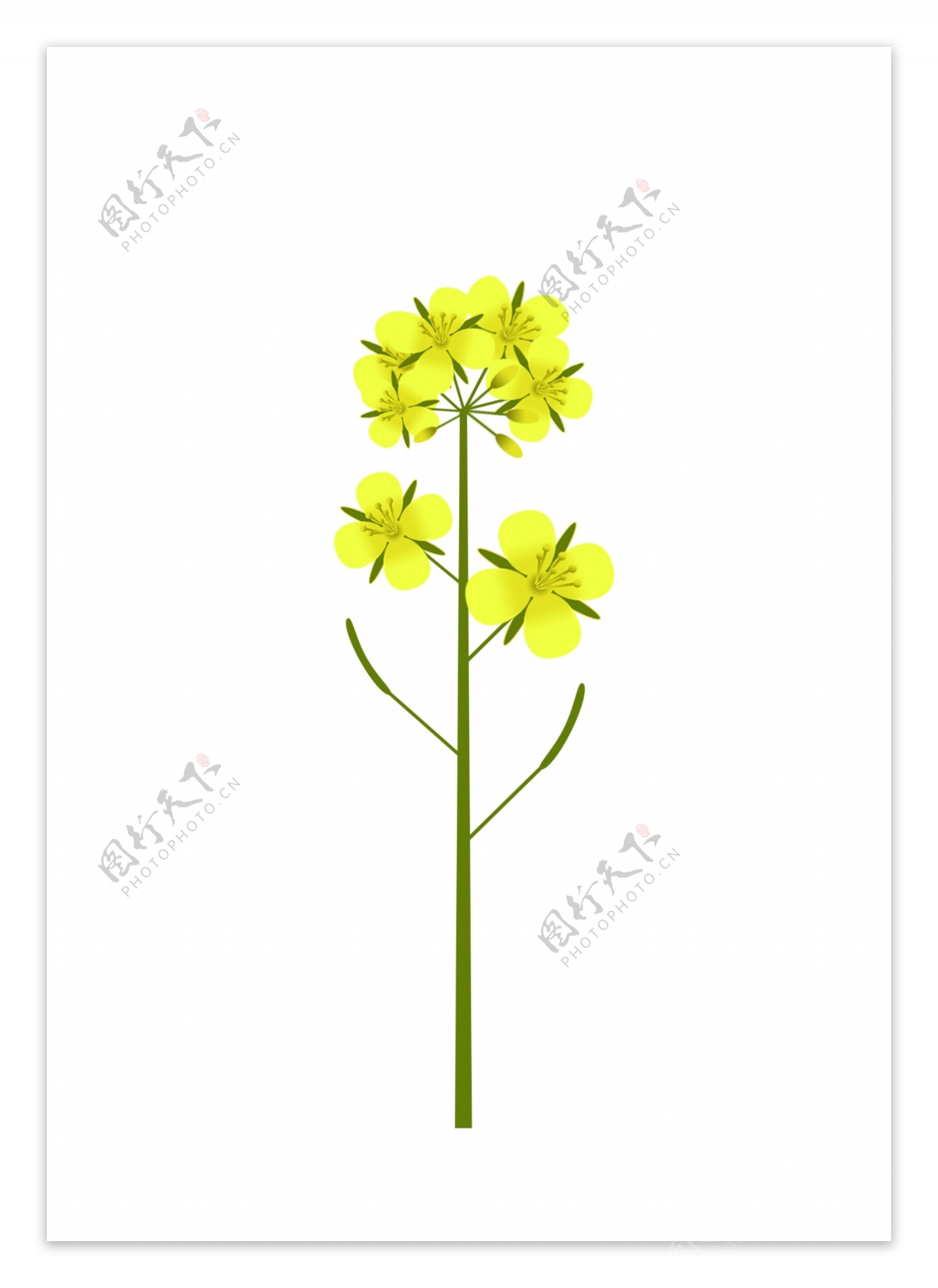 简约手绘矢量黄色油菜花花朵花瓣设计元素