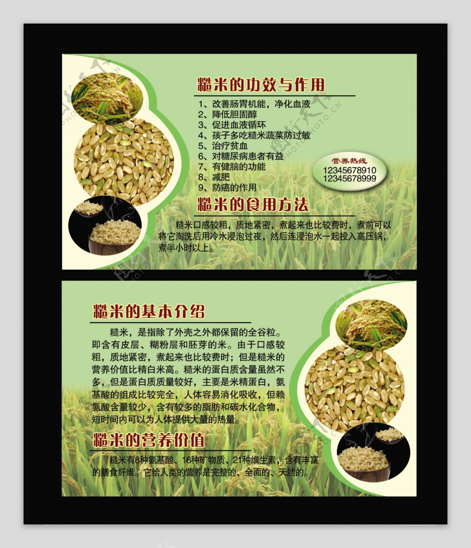 糙米的功效与作用营养价值名片