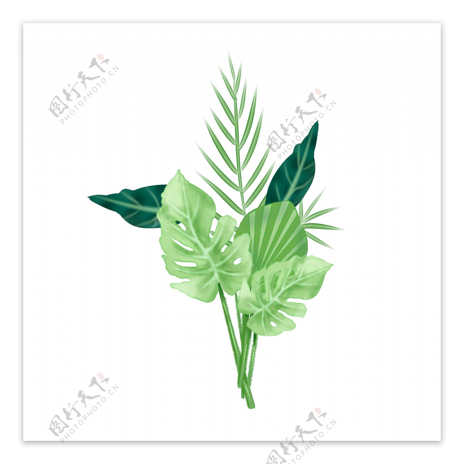 绿色大植物树叶装饰元素