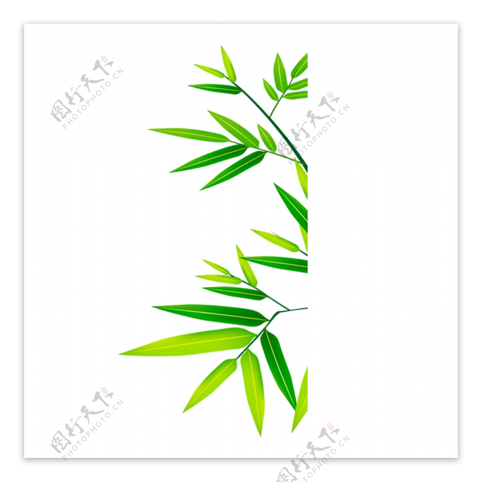 简约手绘绿色竹子透明素材