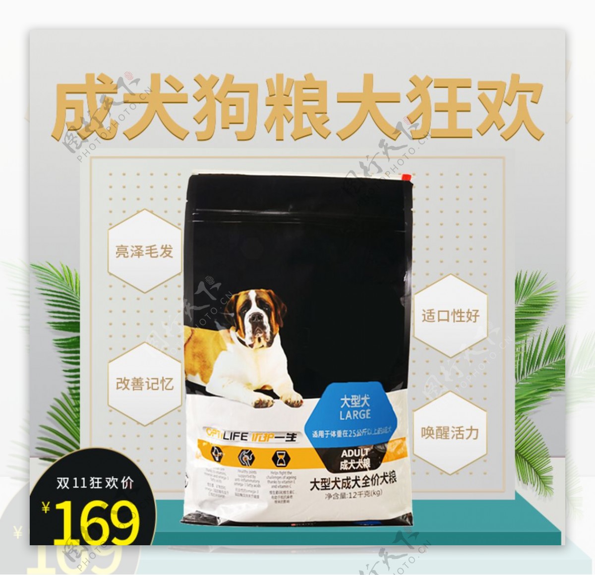 宠物用品