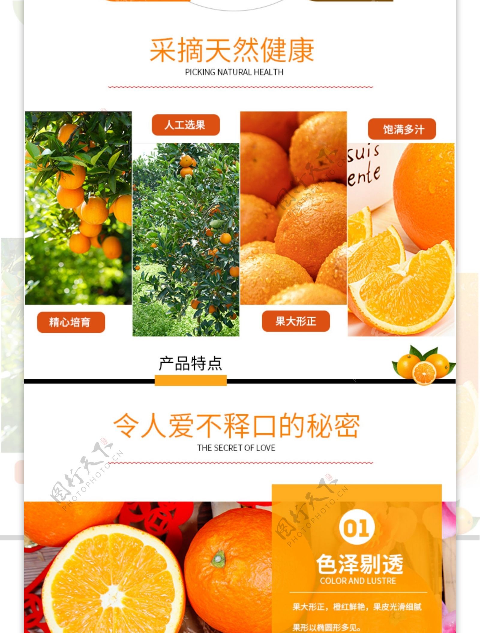 水果橙子促销淘宝详情页