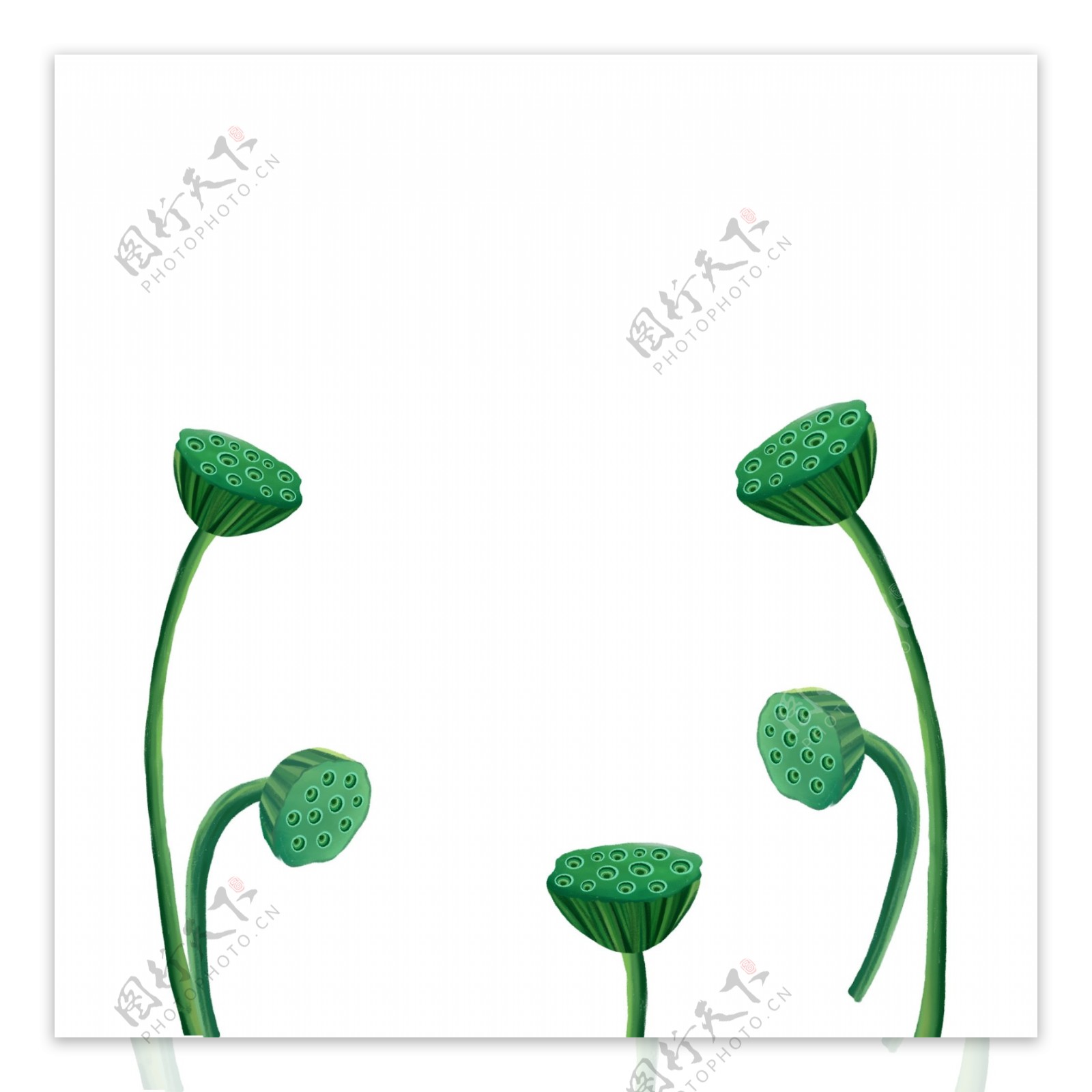 可爱绿色莲蓬装饰元素