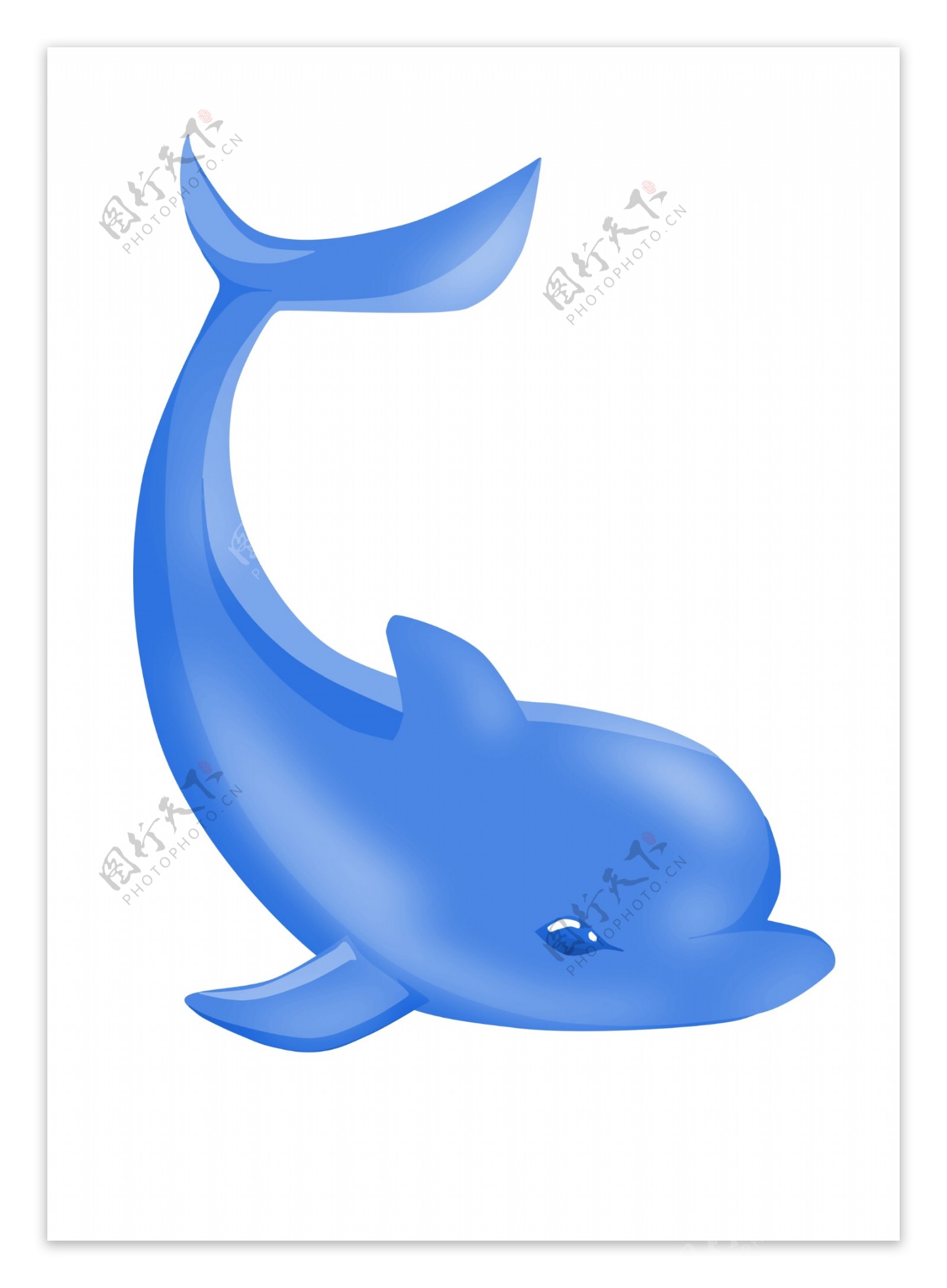蓝色海豚动物