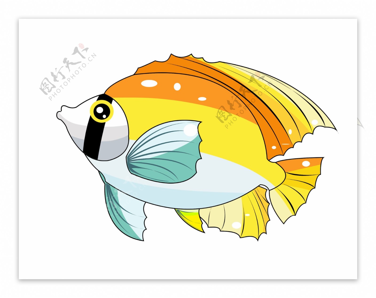 创意动物鱼类