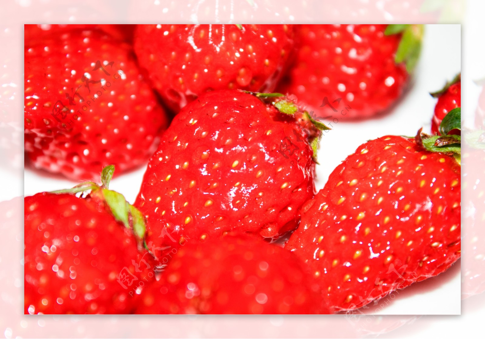 新鲜的草莓商用摄影