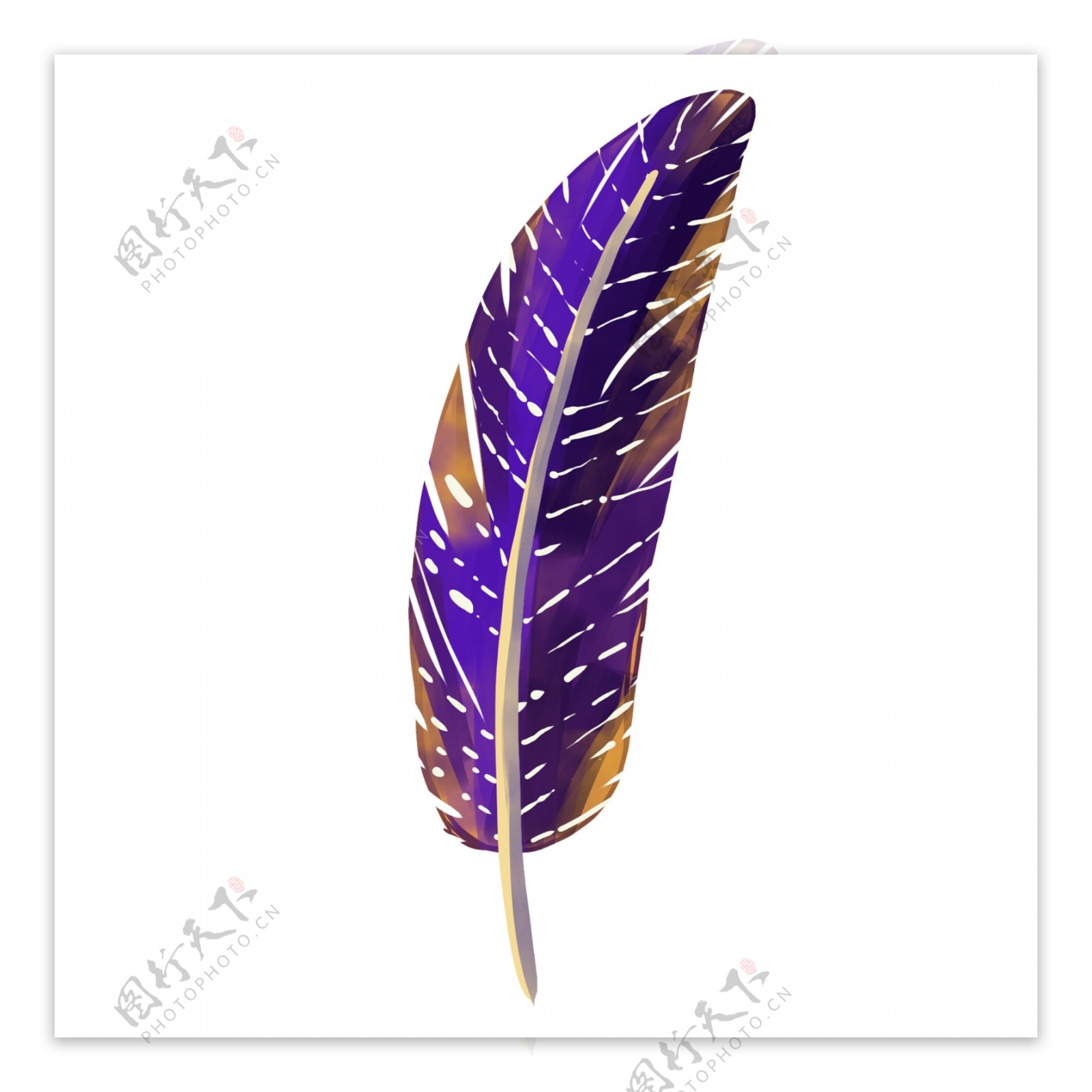 紫色质感羽毛图案