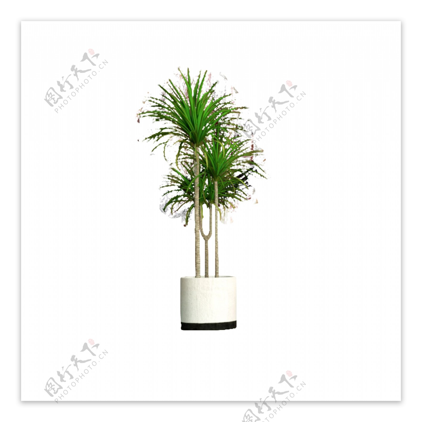 绿色热带植物树叶元素