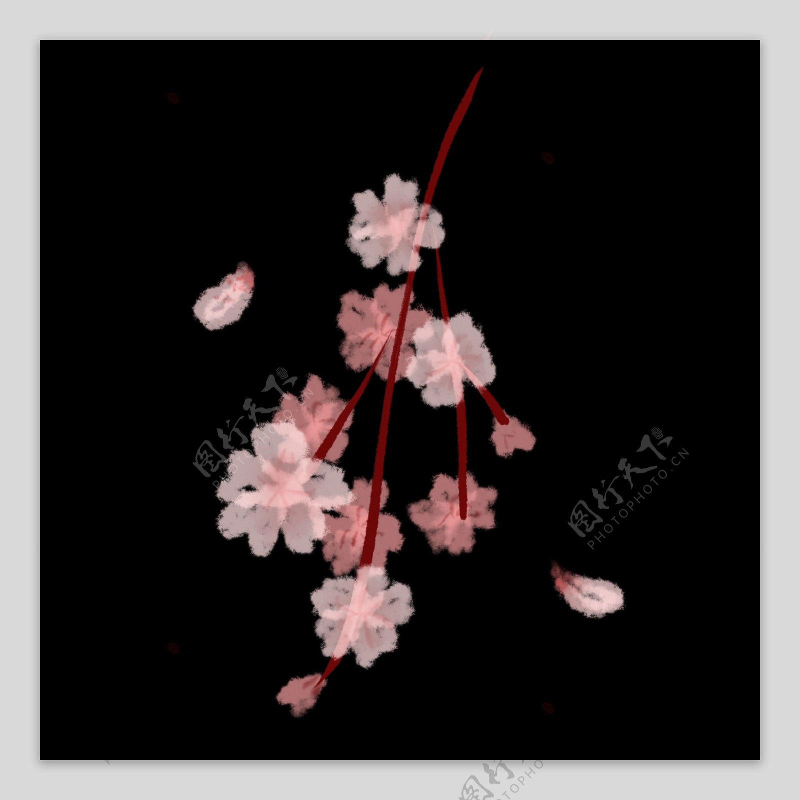 粉色的漂亮樱花插画