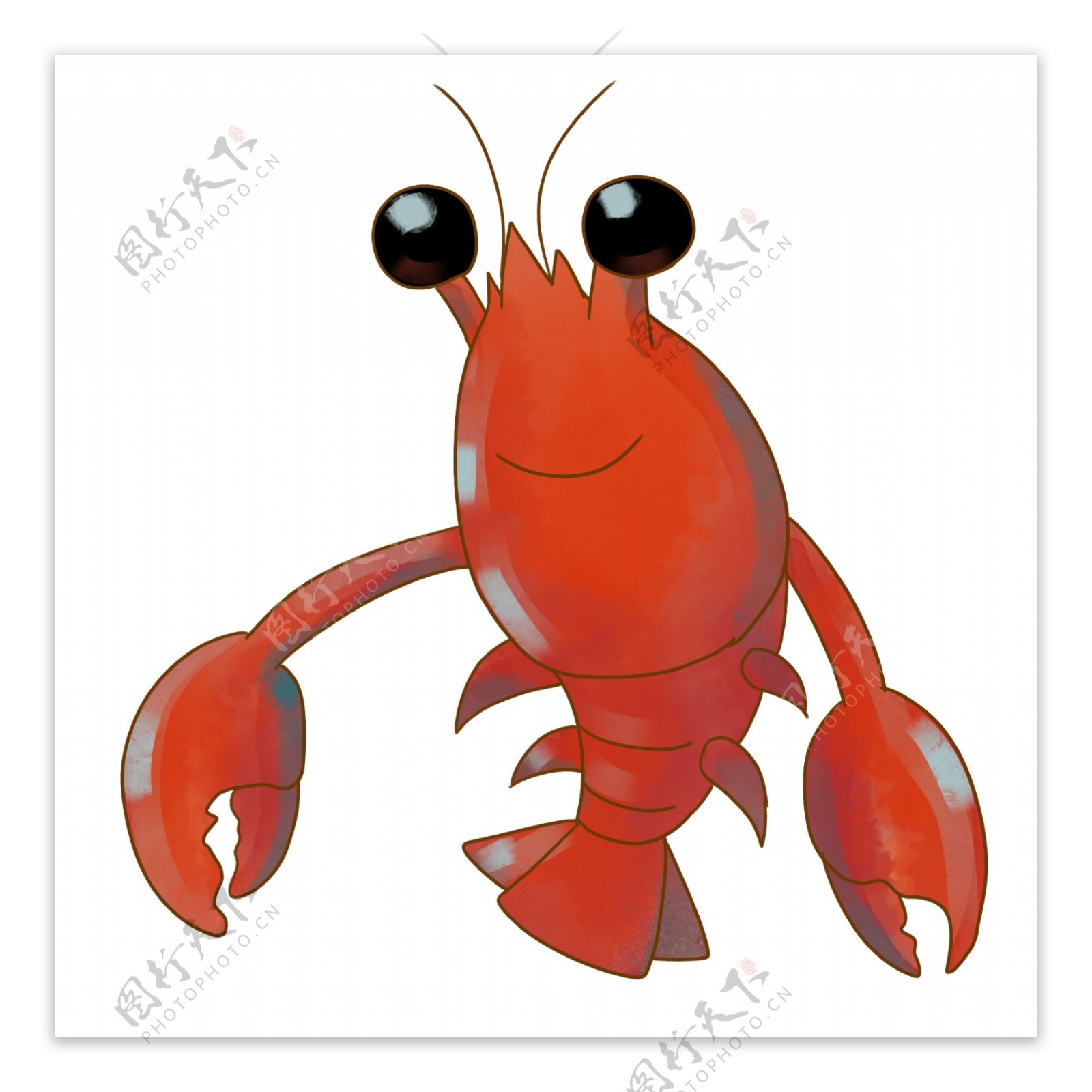红色的小龙虾插图