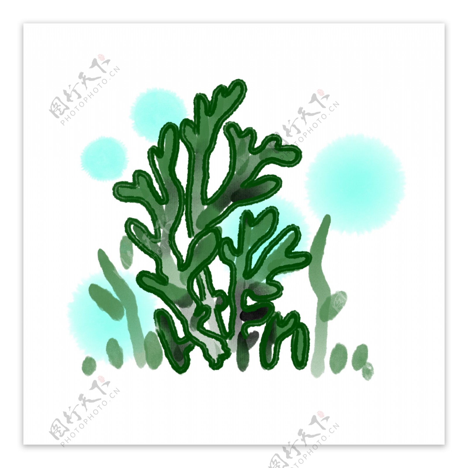 绿色植物珊瑚插图