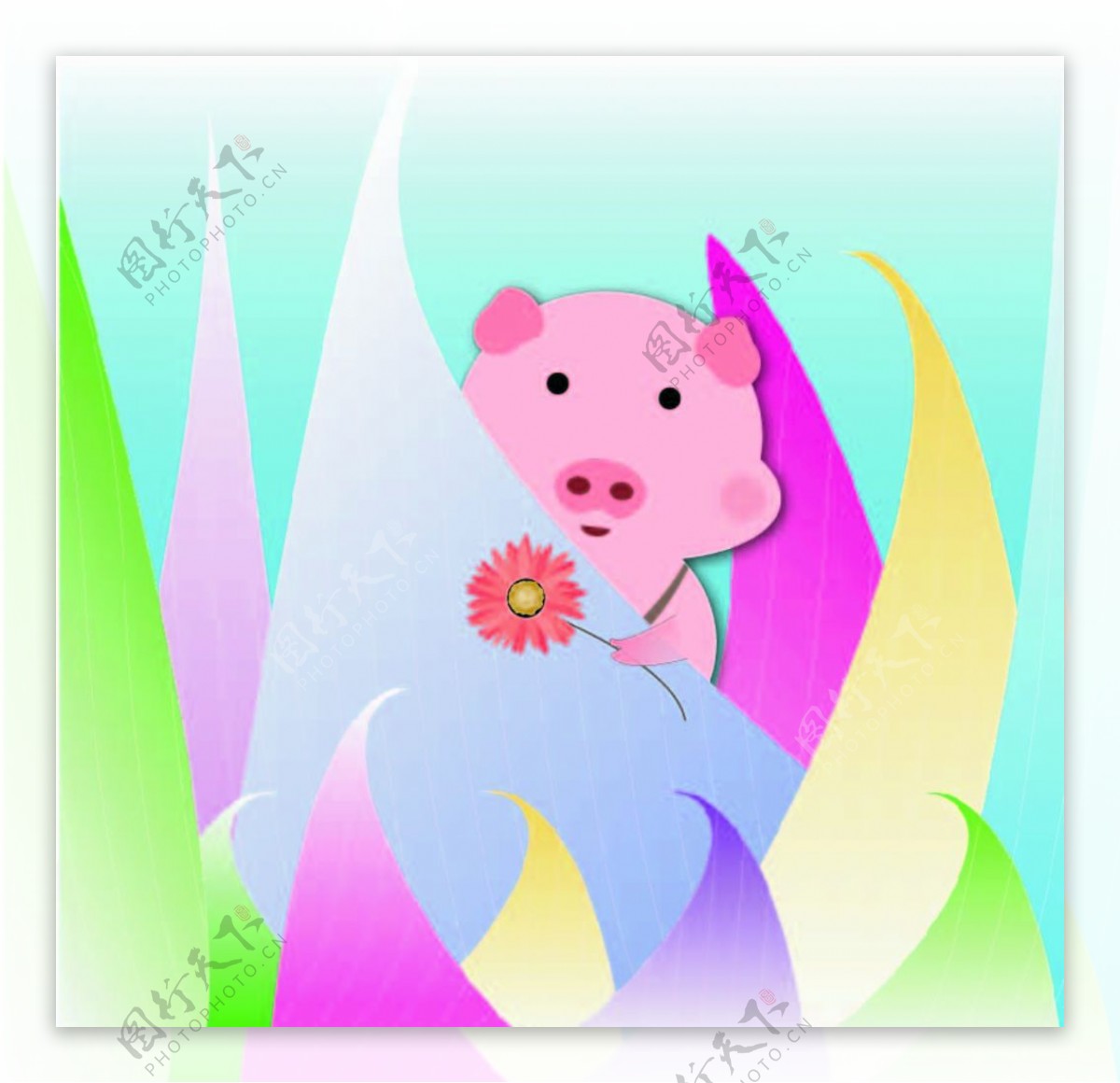 彩色粉红猪