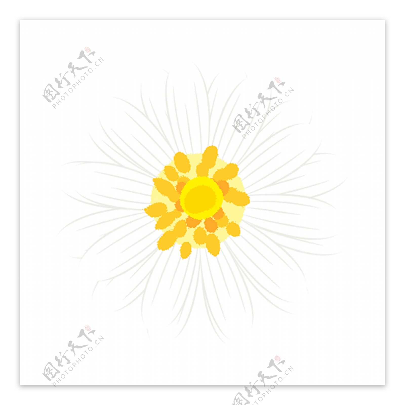 淡黄色花卉手绘png透明素材