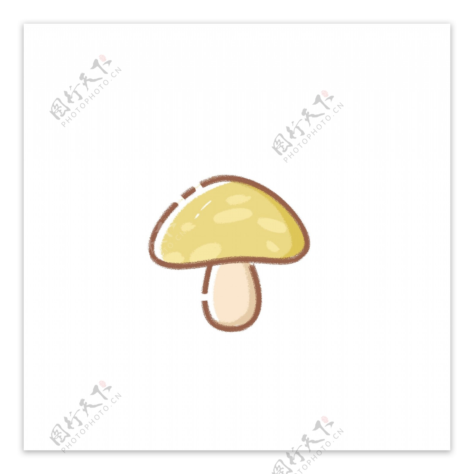 食物食材蔬菜蘑菇