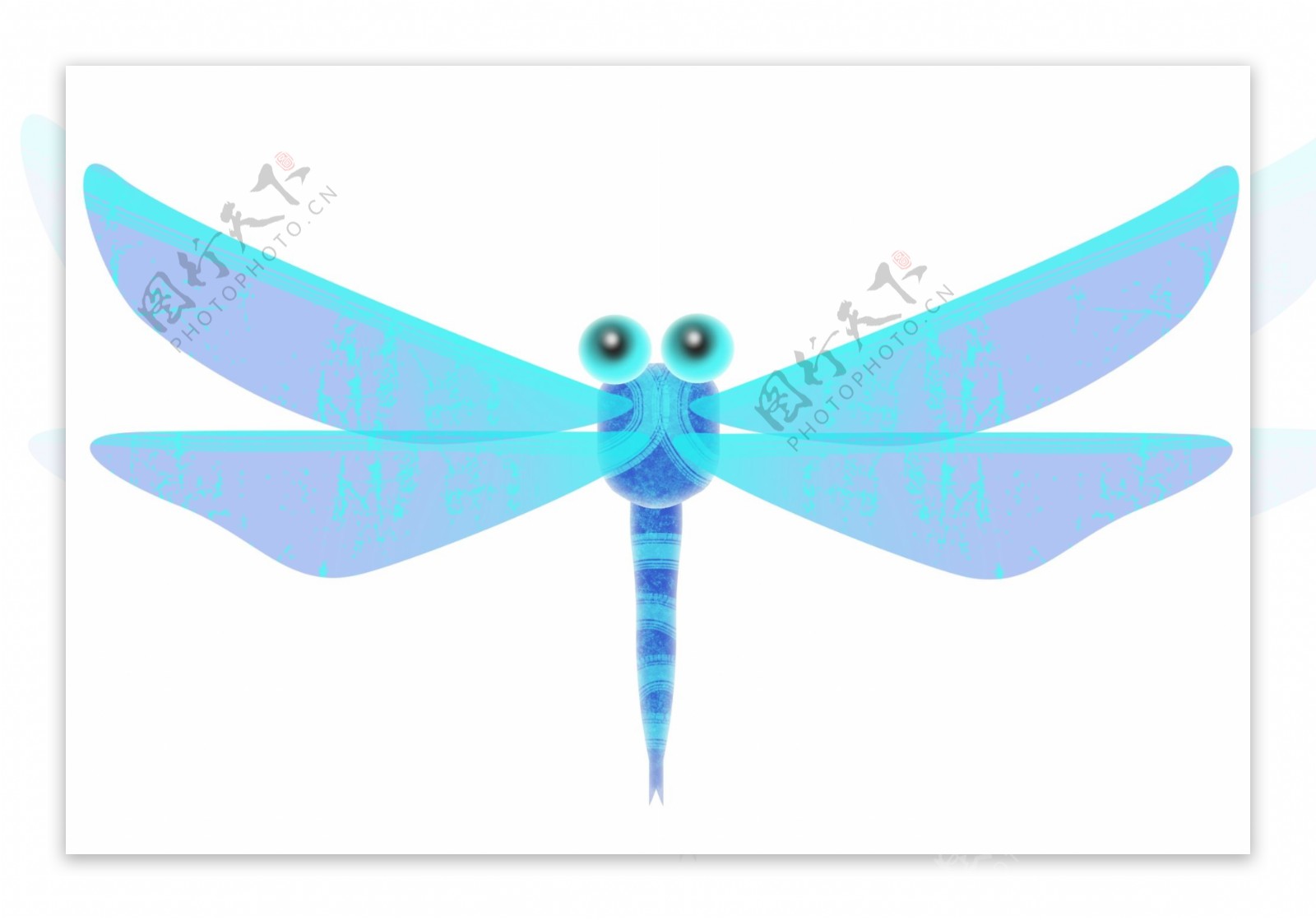 昆虫蓝色蜻蜓