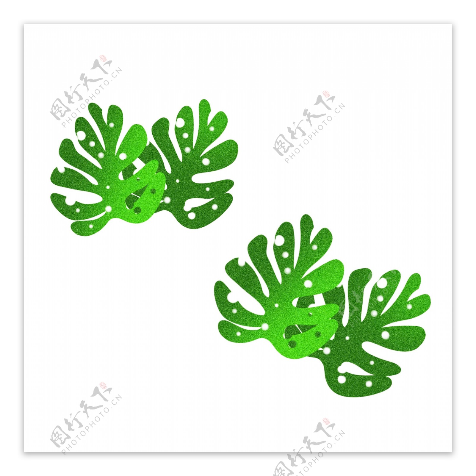 绿色植物树叶插画