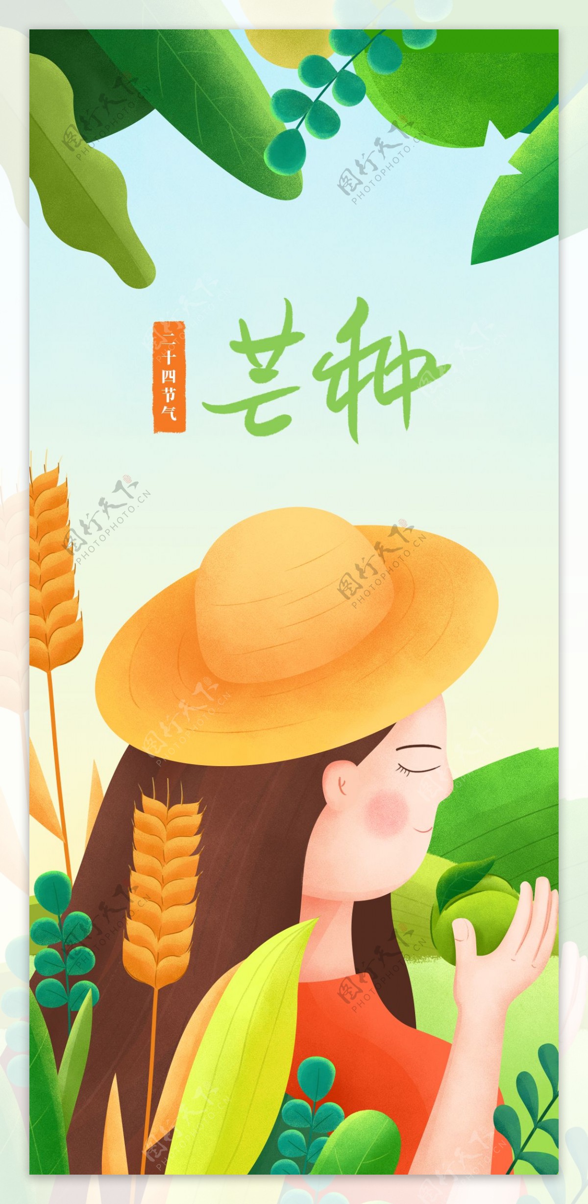 芒种插画海报二十四节气自然清新夏日春季