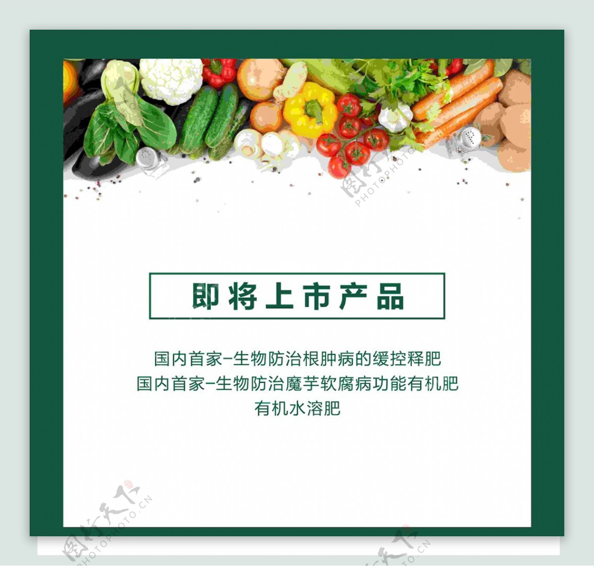 蔬菜海报上市