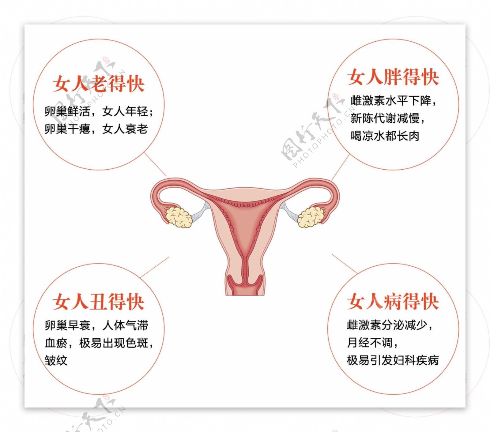 卵巢衰老的危害