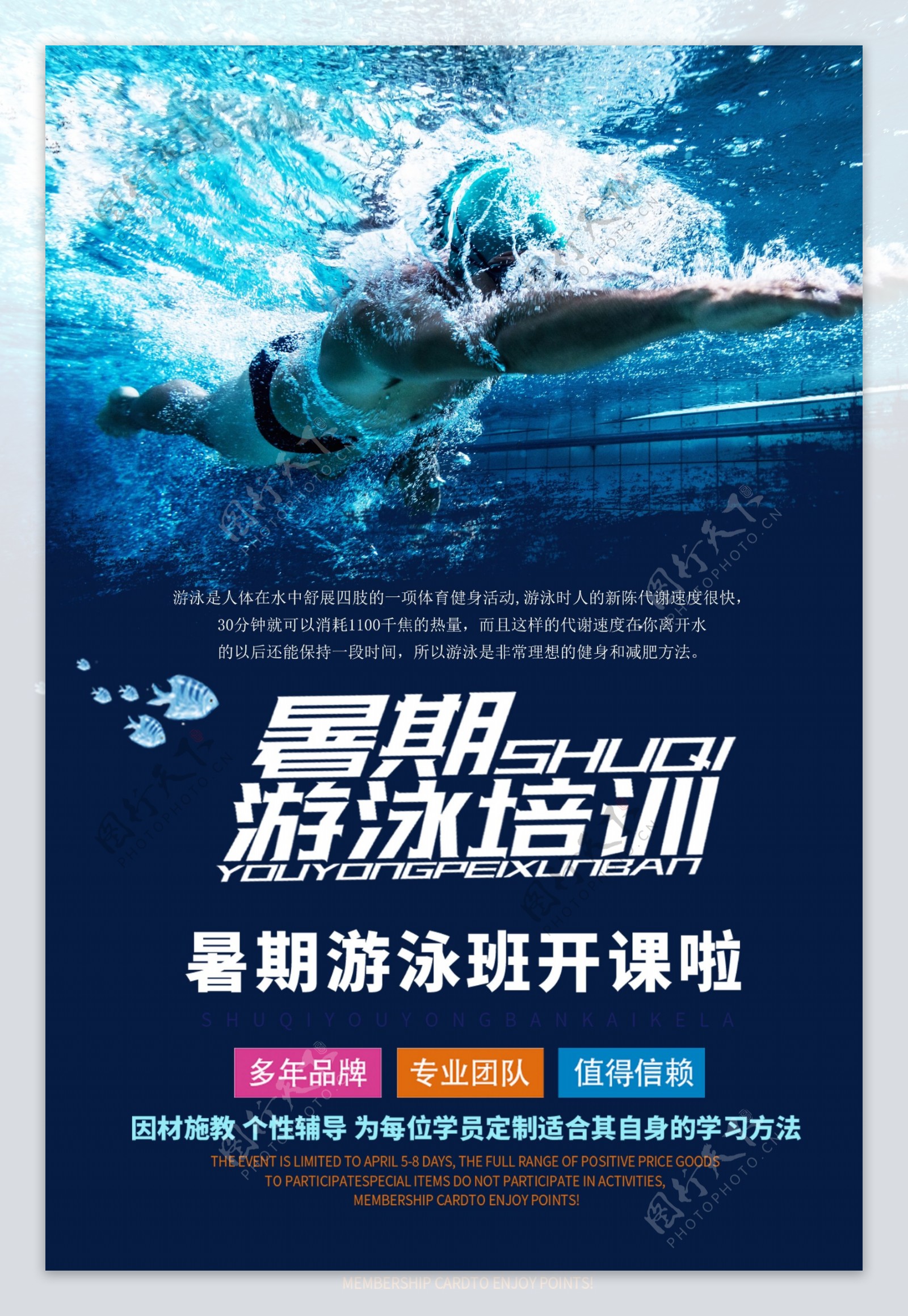 暑期游泳培训海报