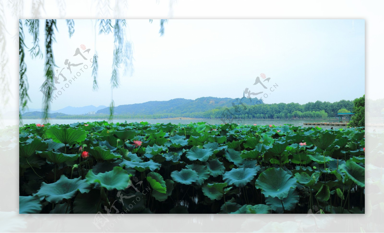 唯美杭州西湖美景