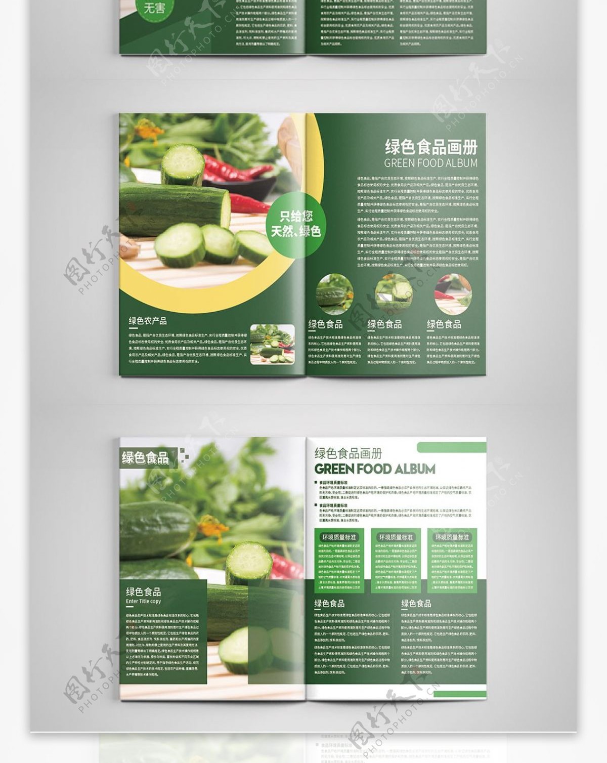 简约绿色食品宣传册