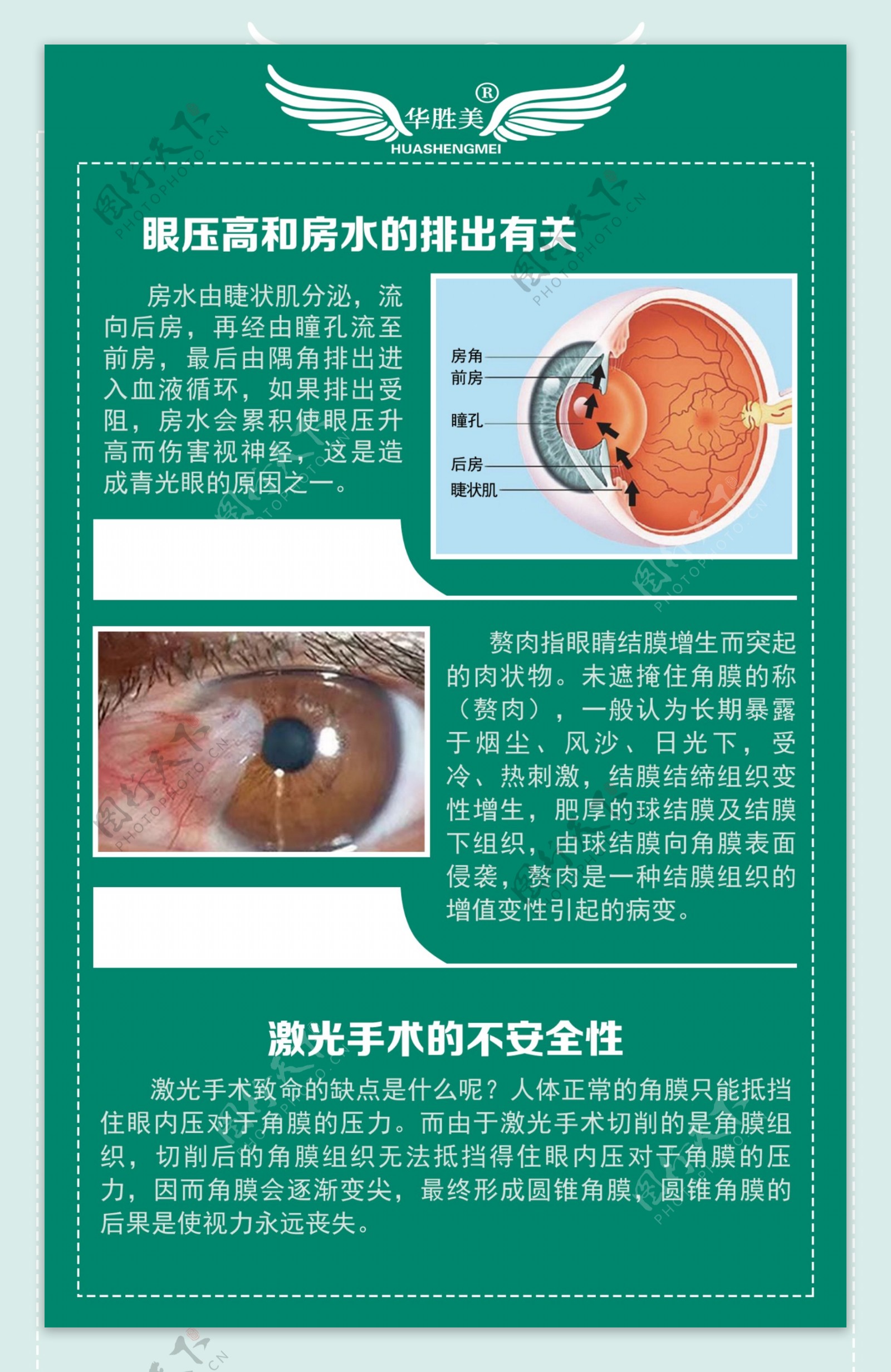 眼睛知识