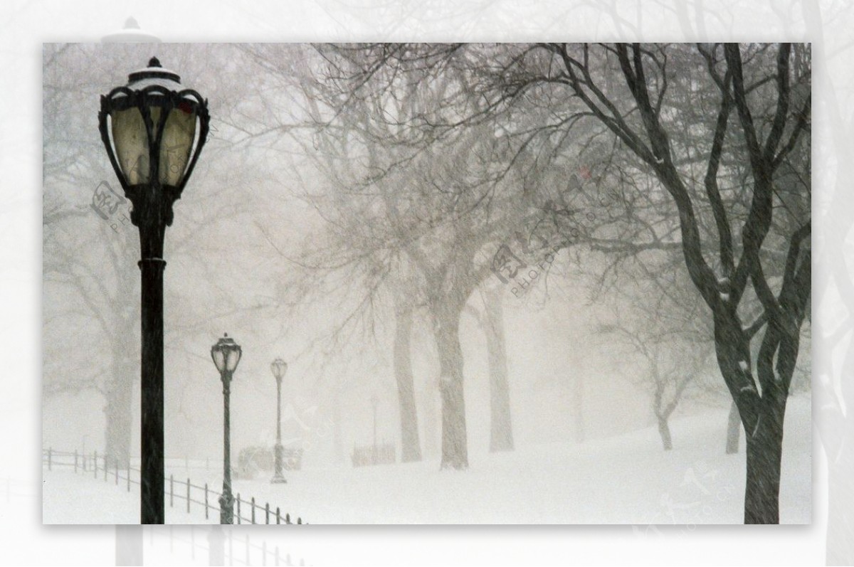 中央公园在雪中