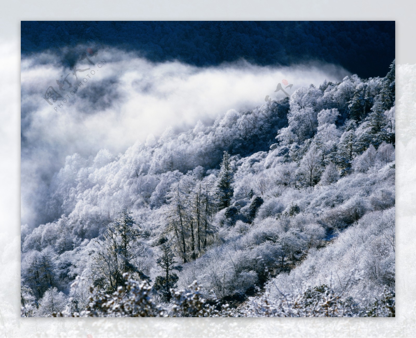 雪景