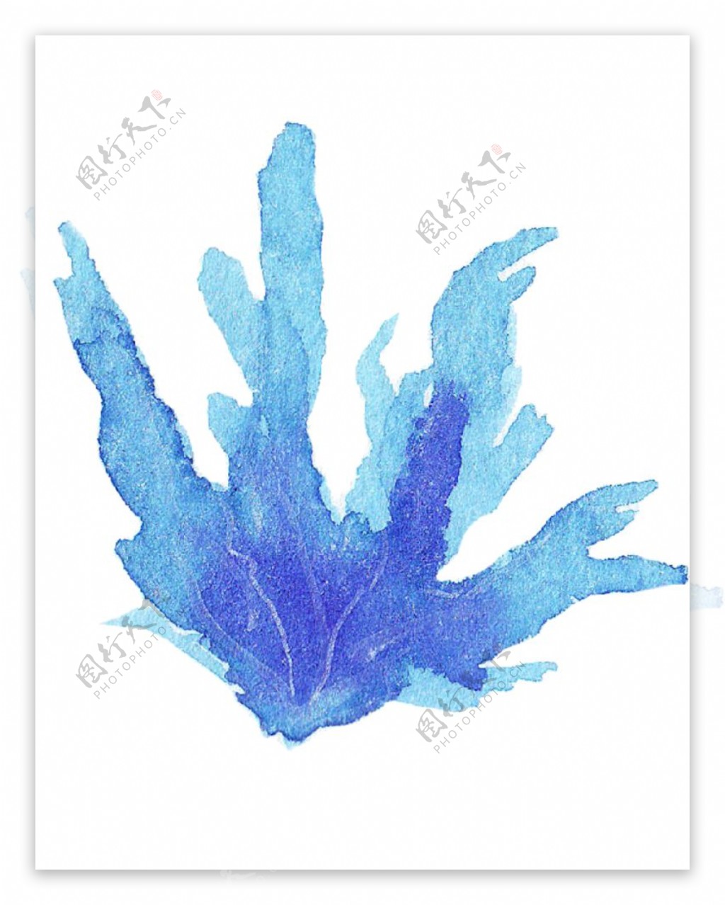 手绘蓝色珊瑚矢量素材