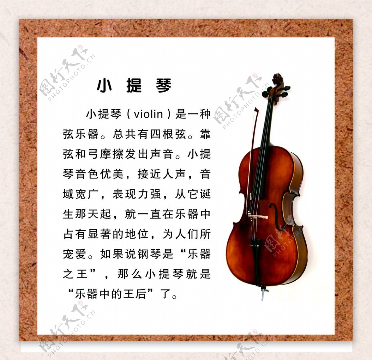 小提琴简介海报
