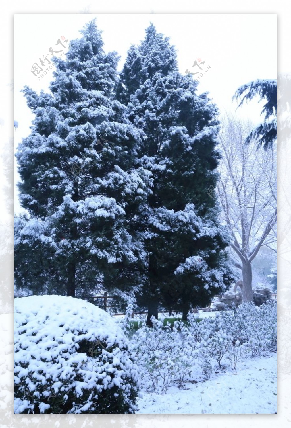 冬日初雪