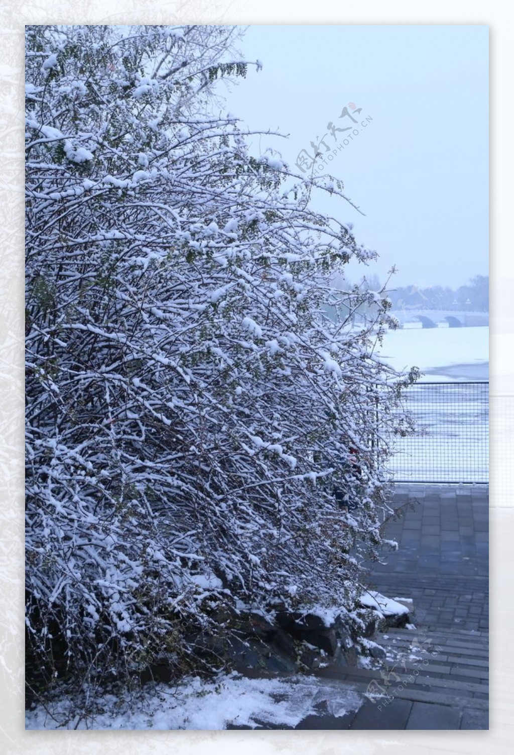 冬日初雪