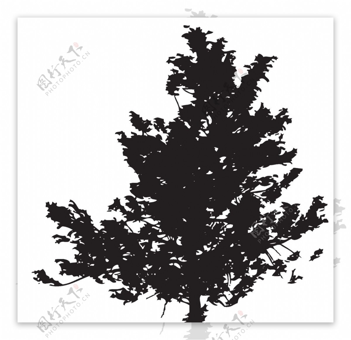 黑色植物树木剪影
