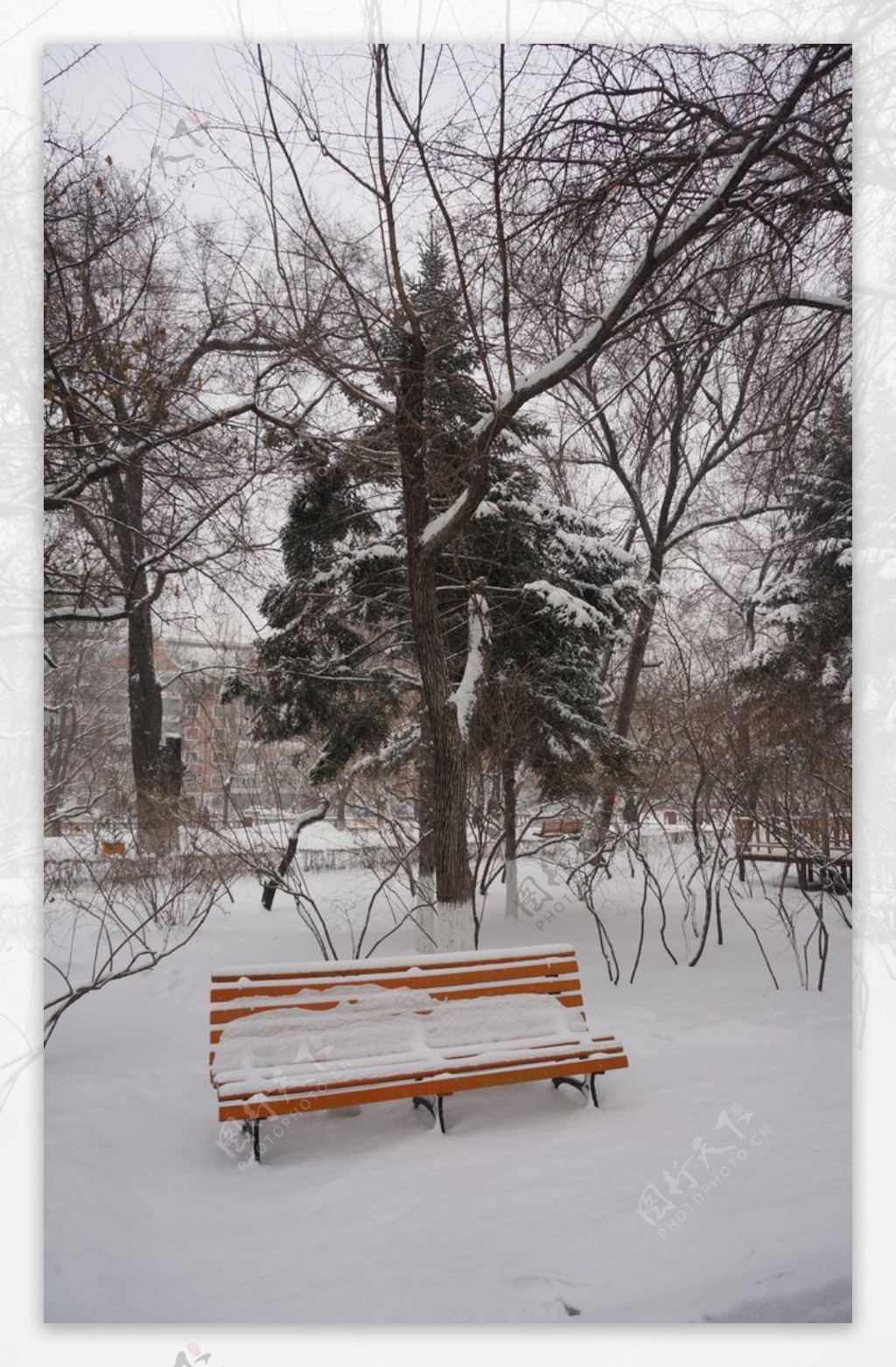 雪景一角