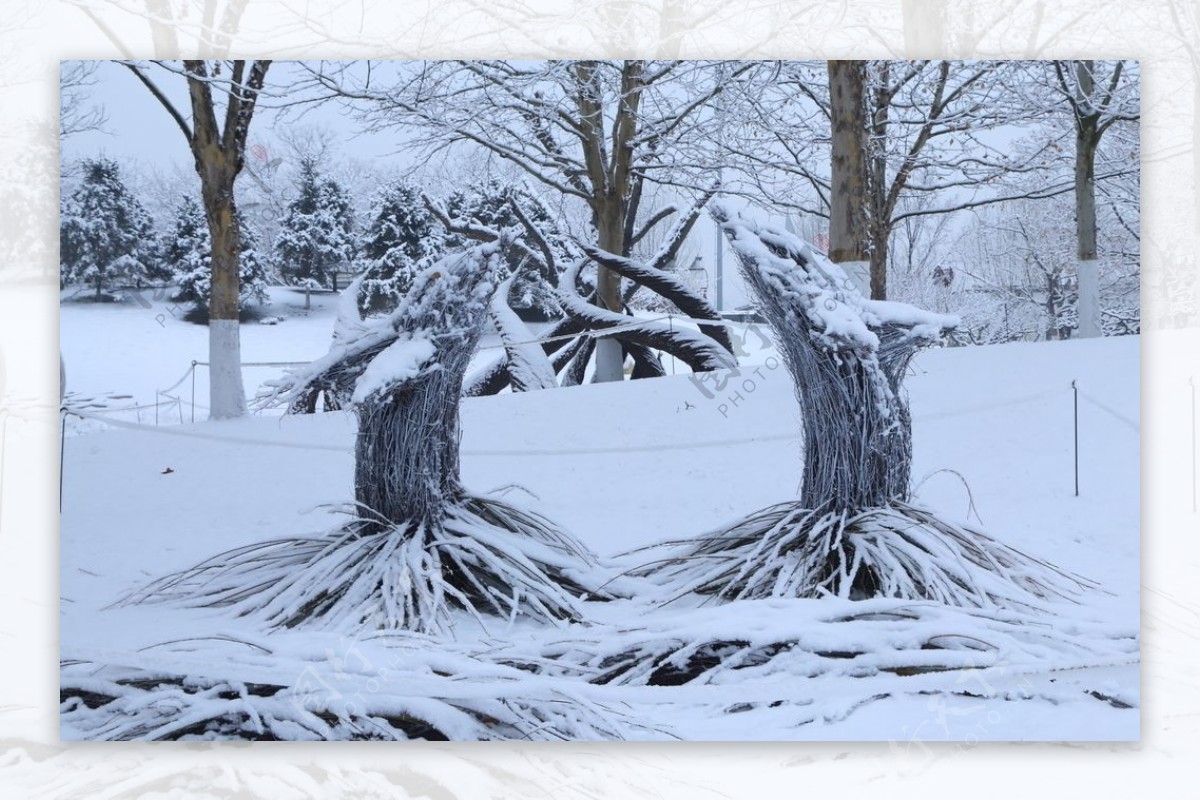 冬雪地景