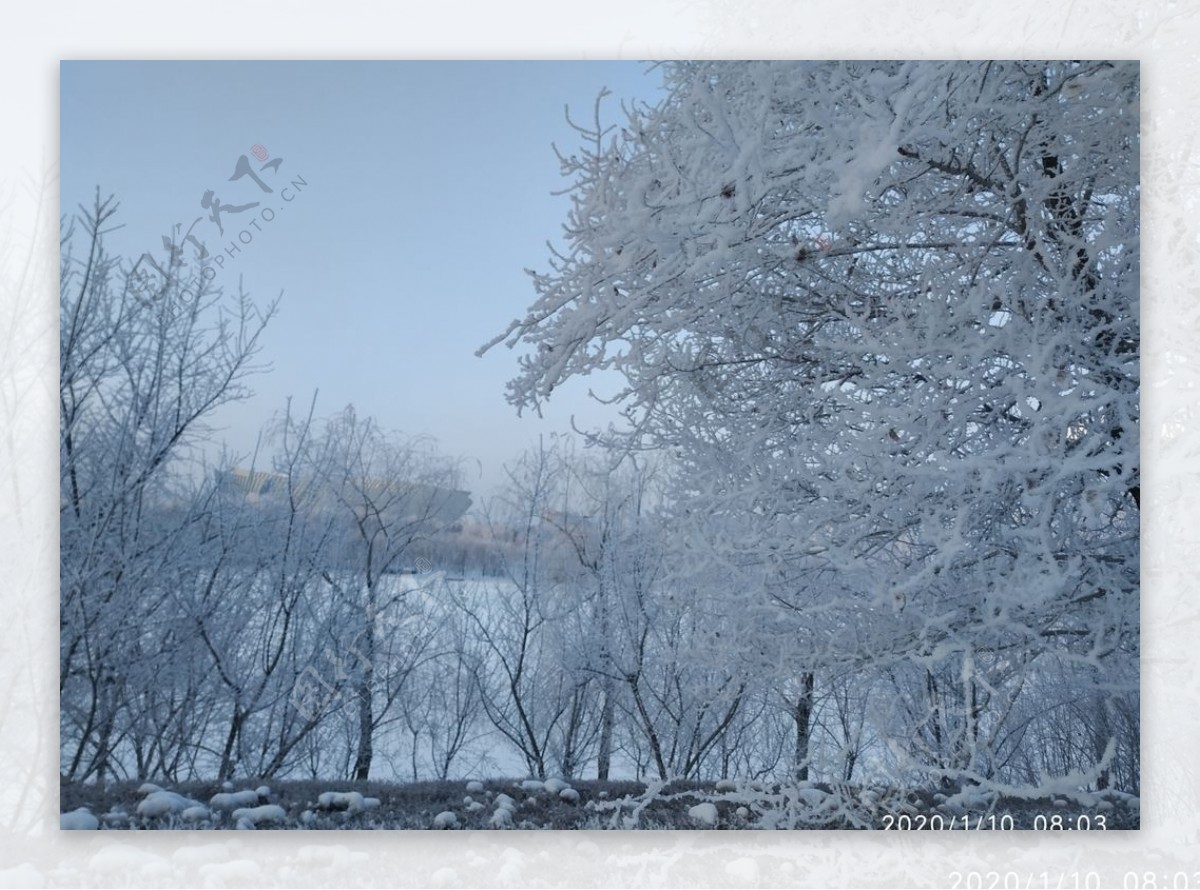 雾凇树挂积雪东北冬天