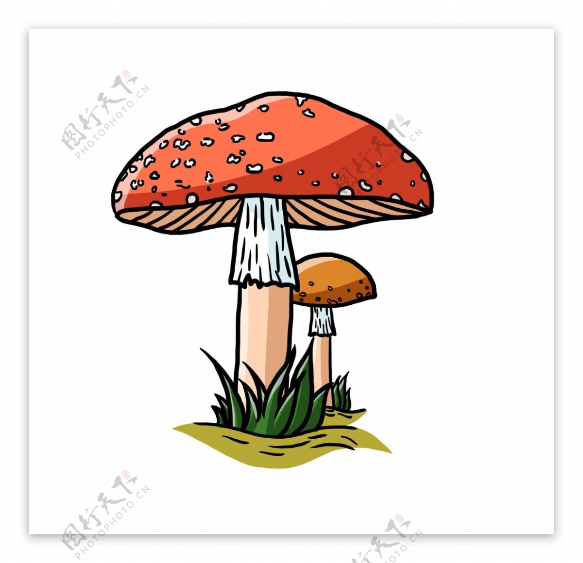 手绘红色小蘑菇